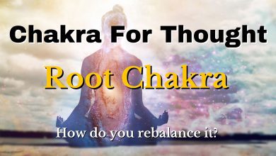Diving Deep Into Chakra 2022 04 07T211842.078 scaled