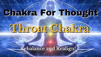Diving Deep Into Chakra 2022 04 22T203651.753 scaled