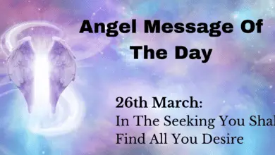 angel message of the day : in the seeking you shall find all you desire