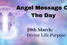 angel message of the day : divine life purpose