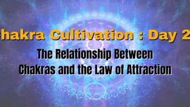 Chakra Cultivation : Day 22 - The Relationship Between Chakras and the Law of Attraction