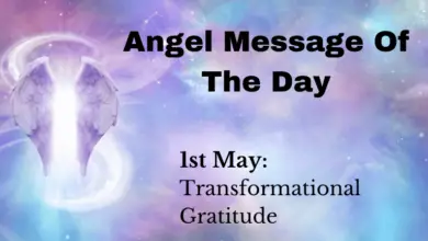 angel message of the day : transformational gratitude