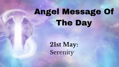 angel message of the day : serenity